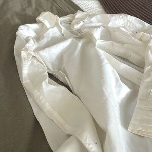 Garnet Hill signature organic cotton button down shirt